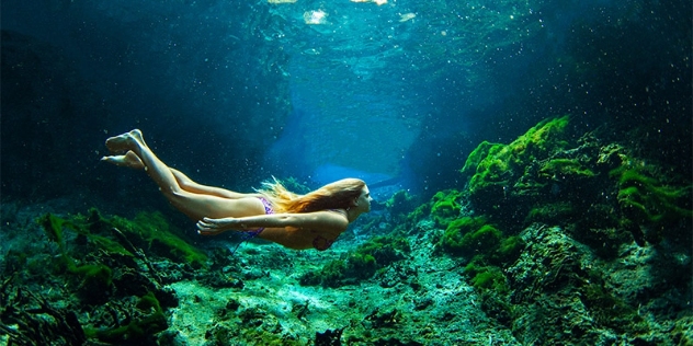 underwater image of a woman swimming with sunlight filtering through the water above and green plants below