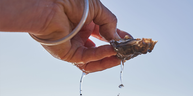 Broadwater Oysters, Pambula