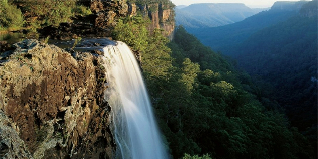  A sunlit waterfall pours over flat faced cliffs topped with trees ahead of a vast, forested canyon curving into the distance.