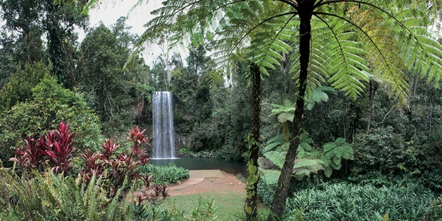 waterfall viewed through tropical gardens